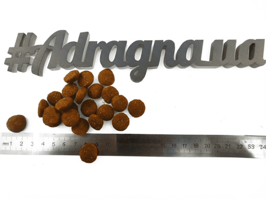 Adragna active